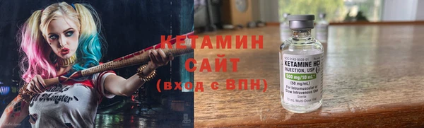 хмурый Аркадак