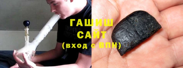 хмурый Аркадак