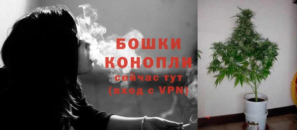 молекула духа Осташков
