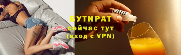 хмурый Аркадак