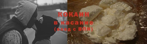 хмурый Аркадак
