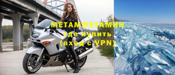 хмурый Аркадак