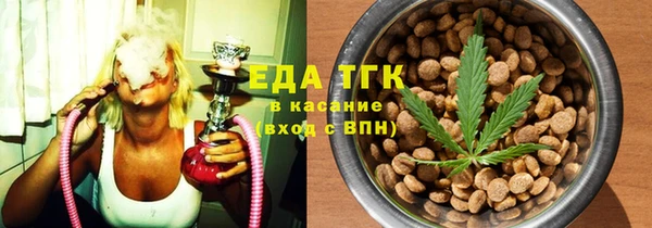 хмурый Аркадак