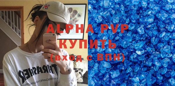 хмурый Аркадак
